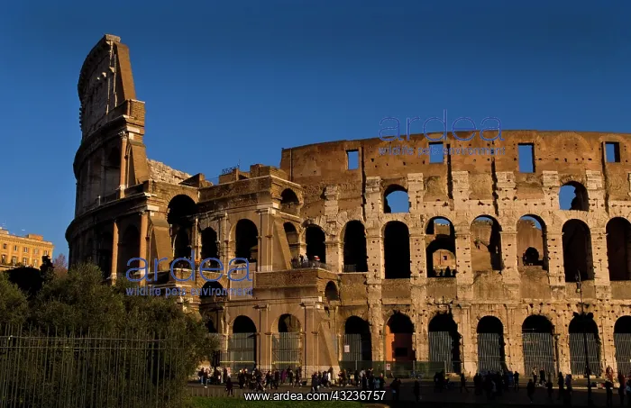 : Famous Colosseum in Rome Italy Landmark : Famous Colosseum in Rome Italy Landmark