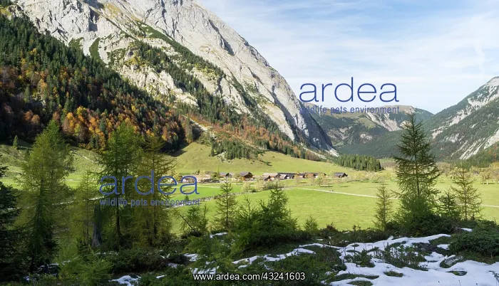  : The famous Eng Valley with the alpe village