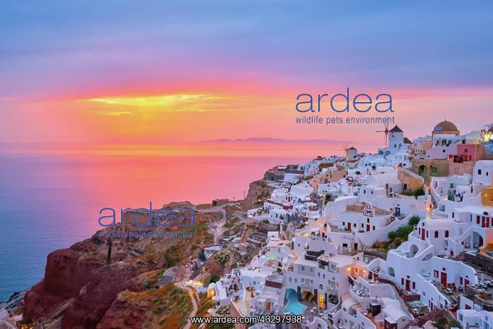 : Famous greek iconic selfie spot tourist destination