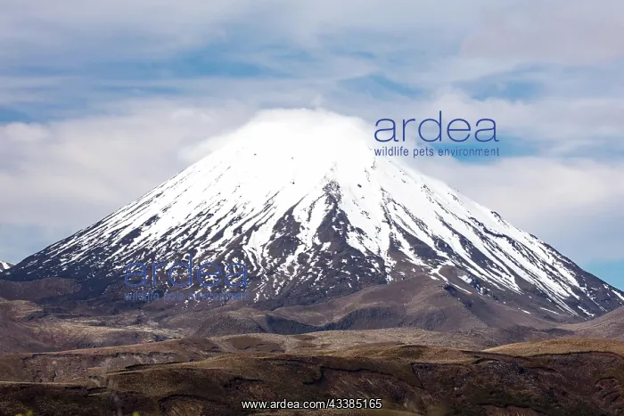  : The famous landscape of Tongariro National Park a