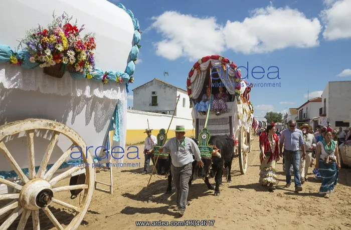: During a famous Pentecost pilgrimage the village : During a famous Pentecost pilgrimage the village