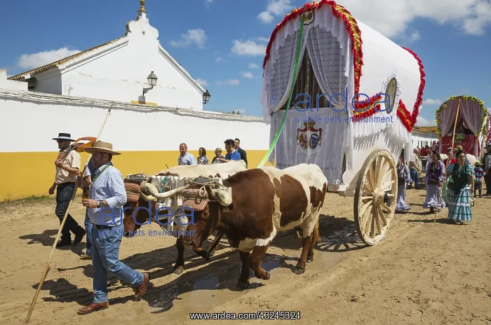 : During a famous Pentecost pilgrimage the village : During a famous Pentecost pilgrimage the village