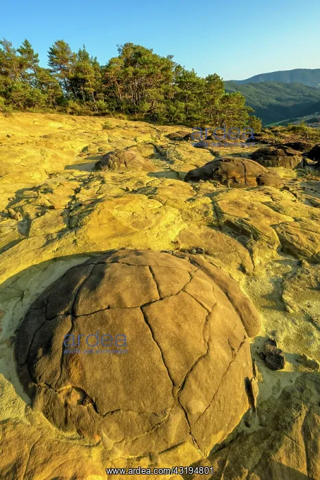 : The famous Rosans sandstone balls: spheres formed : The famous Rosans sandstone balls: spheres formed