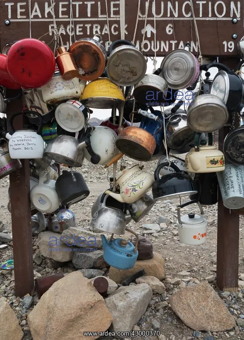 : The famous Teakettle Junction along the Racetrack : The famous Teakettle Junction along the Racetrack