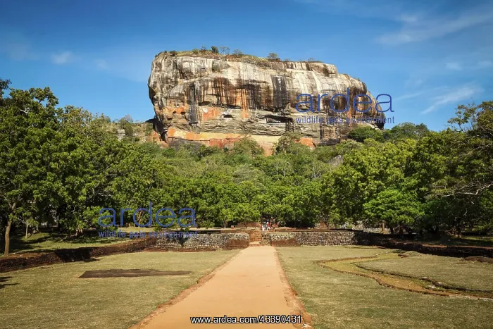 : Famous tourist attraction ancient Sigiriya rock : Famous tourist attraction ancient Sigiriya rock