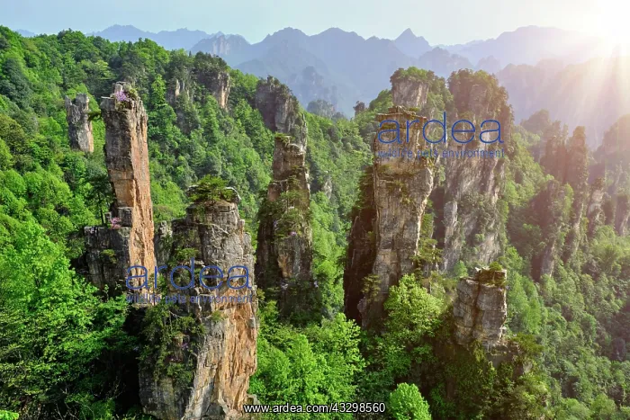 : Famous tourist attraction of China, Zhangjiajie : Famous tourist attraction of China, Zhangjiajie