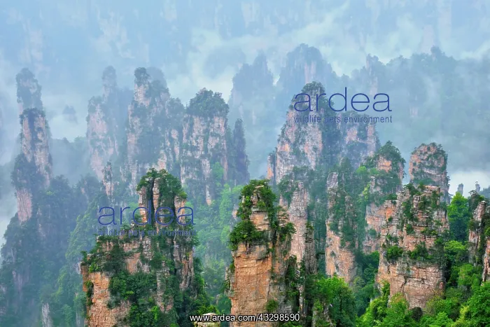 : Famous tourist attraction of China, Zhangjiajie : Famous tourist attraction of China, Zhangjiajie