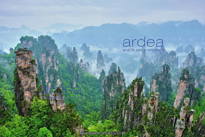 : Famous tourist attraction of China, Zhangjiajie : Famous tourist attraction of China, Zhangjiajie