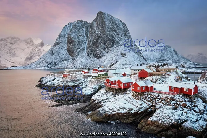 : Famous tourist attraction Hamnoy fishing village : Famous tourist attraction Hamnoy fishing village