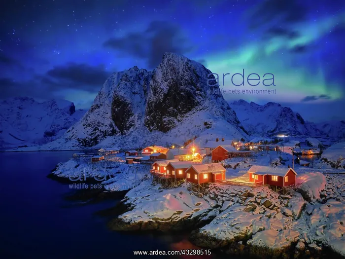 : Famous tourist attraction Hamnoy fishing village : Famous tourist attraction Hamnoy fishing village