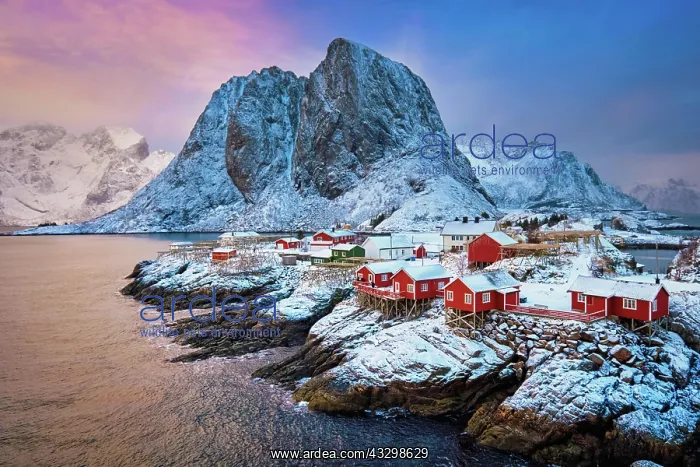 : Famous tourist attraction Hamnoy fishing village : Famous tourist attraction Hamnoy fishing village