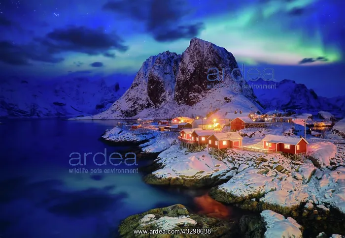 : Famous tourist attraction Hamnoy fishing village : Famous tourist attraction Hamnoy fishing village