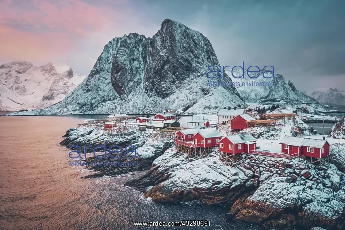 : Famous tourist attraction Hamnoy fishing village : Famous tourist attraction Hamnoy fishing village