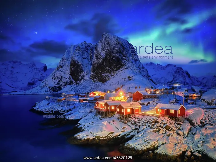 : Famous tourist attraction Hamnoy fishing village : Famous tourist attraction Hamnoy fishing village
