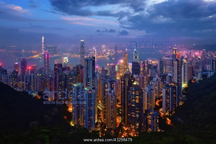 : Famous view of Hong Kong, Hong Kong skyscrapers : Famous view of Hong Kong, Hong Kong skyscrapers