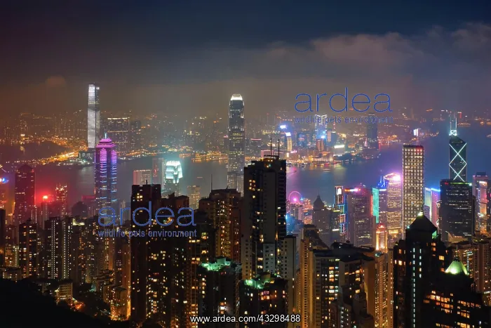 : Famous view of Hong Kong, Hong Kong skyscrapers : Famous view of Hong Kong, Hong Kong skyscrapers