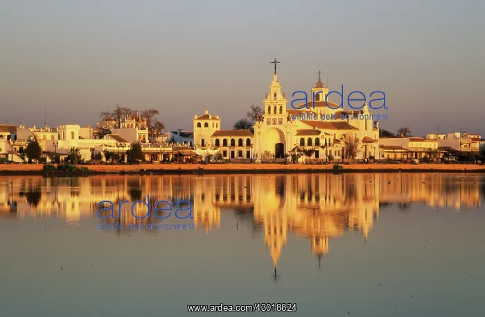 : The famous village of El Rocio where a famous pilgrimage : The famous village of El Rocio where a famous pilgrimage