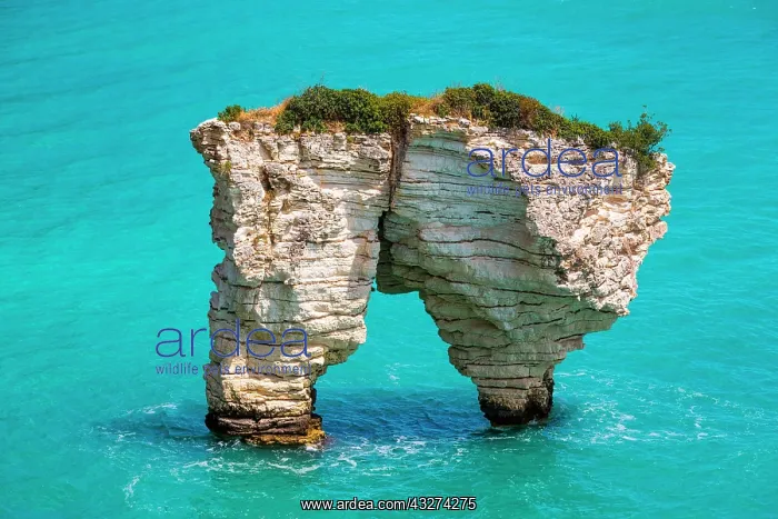 : Fantastic limestone cliffs, Gargano peninsula in : Fantastic limestone cliffs, Gargano peninsula in