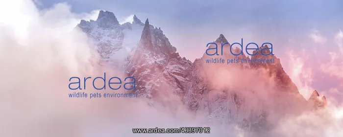 : Fantastic snow mountains landscape banner background : Fantastic snow mountains landscape banner background