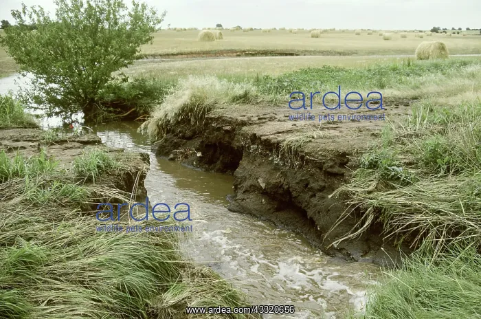 : Farm Erosion : Farm Erosion