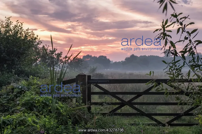 : Farm Gate at sunsey - Norfolk UK : Farm Gate at sunsey - Norfolk UK