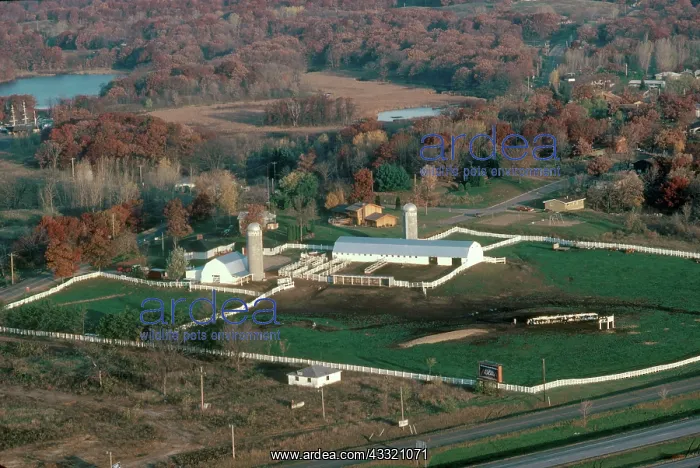 : Farm, Minnesota : Farm, Minnesota
