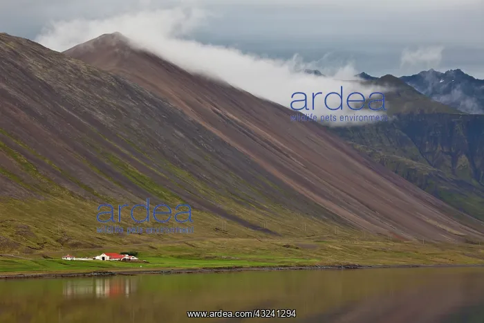 : Farm next to mountains and lake, Iceland : Farm next to mountains and lake, Iceland