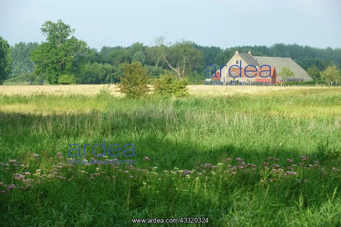 : Farm De Rode Hoeve anno 1816 in former tidal creek area of Z : Farm De Rode Hoeve anno 1816 in former tidal creek area of Z