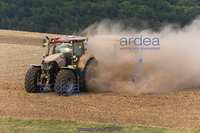 : Farm Tractor - veiled in dust, sowing out seed : Farm Tractor - veiled in dust, sowing out seed
