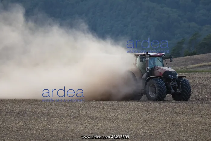 : Farm Tractor - veiled in dust, sowing out seed : Farm Tractor - veiled in dust, sowing out seed