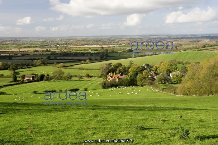 : Farm - Typical sheep farm at foot of Cotswold escarpment : Farm - Typical sheep farm at foot of Cotswold escarpment