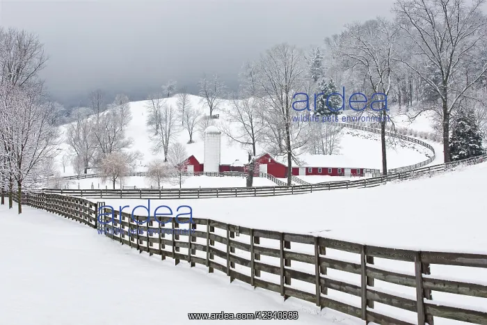 : Farm in winter just after a snow : Farm in winter just after a snow