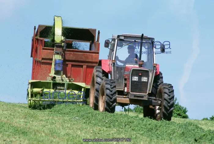 : FARMER - cutting silage : FARMER - cutting silage