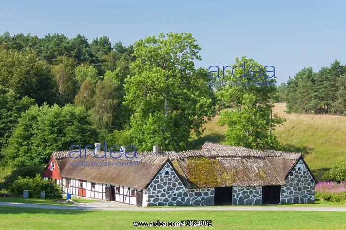 : Farmerhouse Skane Old Farmhouse Glimmeboda Broesarps Hi : Farmerhouse Skane Old Farmhouse Glimmeboda Broesarps Hi