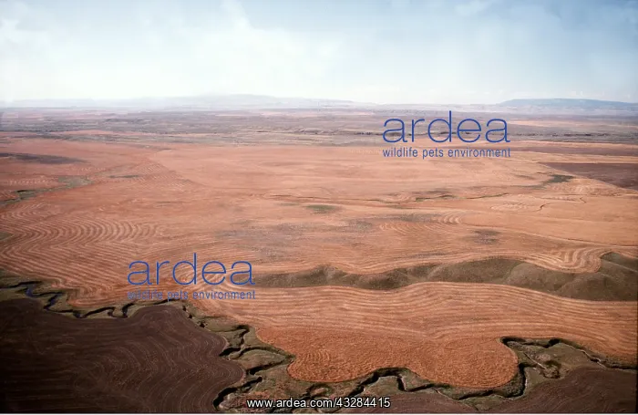 : Farming - aerial of wheatfields : Farming - aerial of wheatfields