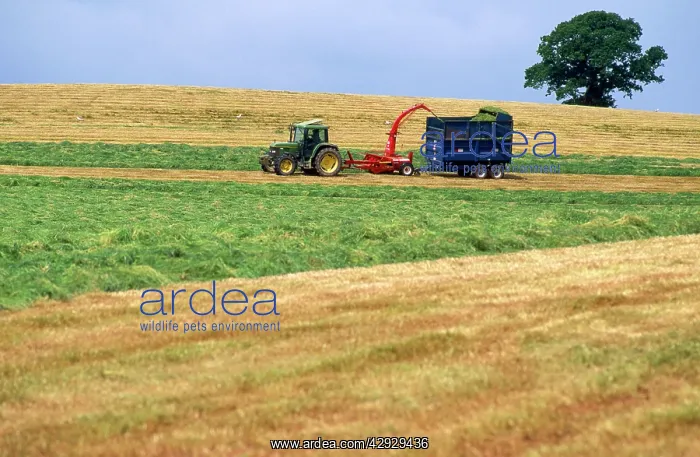  : Farming - cutting for sileage