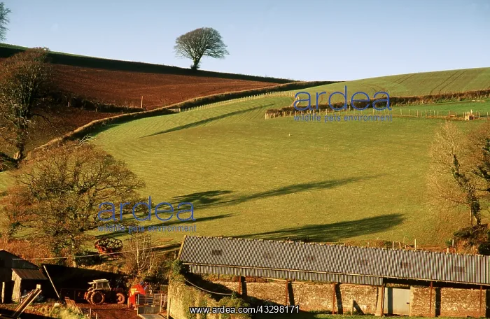 : FARMING - Farm landscape with tractor and muckspreader : FARMING - Farm landscape with tractor and muckspreader