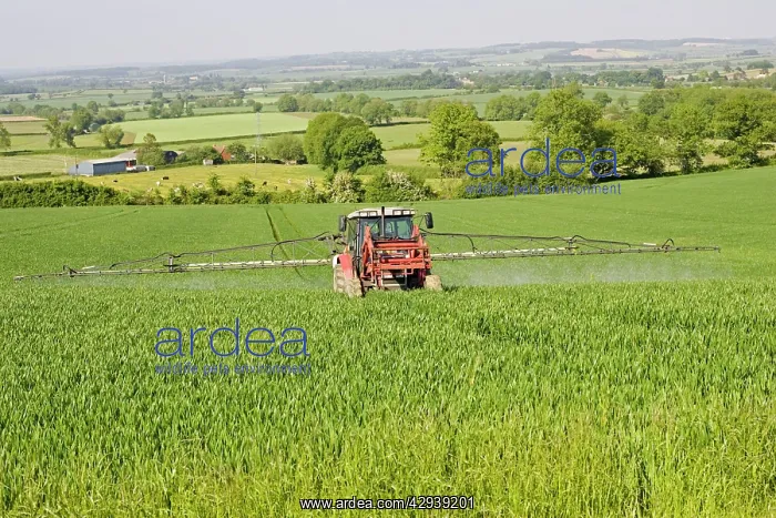 : Farming - Farmer on red tractor spraying cereal crop : Farming - Farmer on red tractor spraying cereal crop
