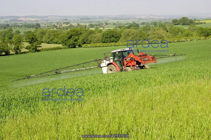 : Farming - Farmer on red tractor spraying cereal crop : Farming - Farmer on red tractor spraying cereal crop
