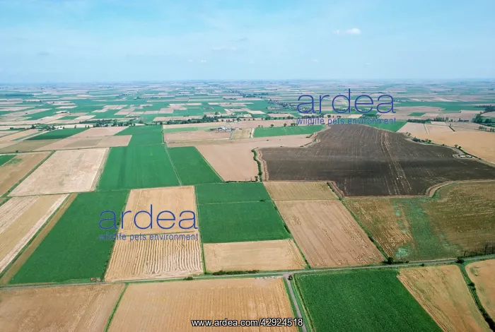 : FARMING - Fen farmland : FARMING - Fen farmland
