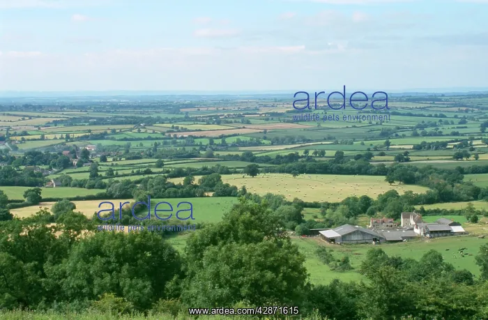 : Farming - field patterns : Farming - field patterns