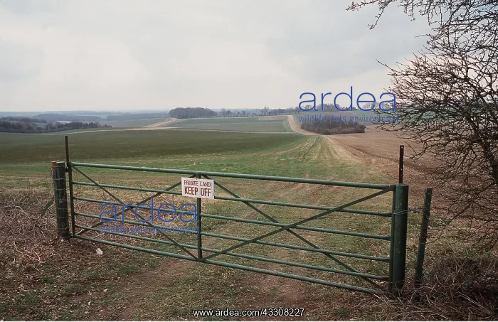 : FARMING - Hampshire, private sign, hedgerows removed : FARMING - Hampshire, private sign, hedgerows removed