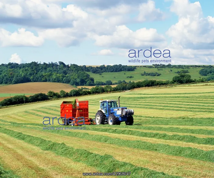 : Farming - tractor & silage collector at work : Farming - tractor & silage collector at work