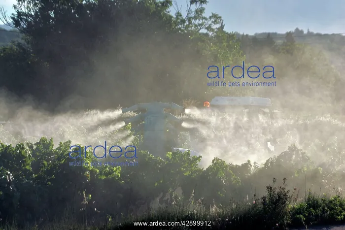 : Farming - treating / spraying vineyard : Farming - treating / spraying vineyard