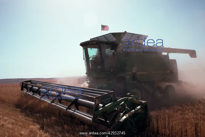: Farming - Wheatfields : Farming - Wheatfields