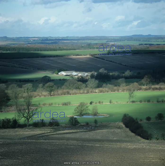 : Farmland, Berkshire, UK : Farmland, Berkshire, UK
