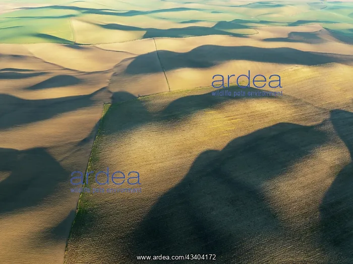: Farmland in the Campia Cordobesa, the fertile rural : Farmland in the Campia Cordobesa, the fertile rural