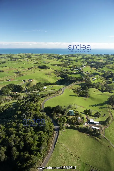 : Farmland near New Plymouth, Taranaki, North : Farmland near New Plymouth, Taranaki, North