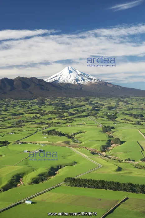 : Farmland near Okato, and Mt Taranaki / Mt : Farmland near Okato, and Mt Taranaki / Mt