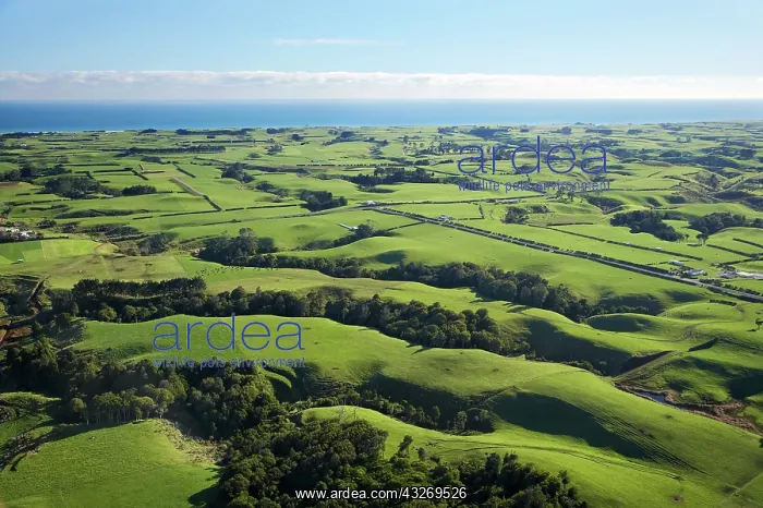 : Farmland near Okato, Taranaki, North Island : Farmland near Okato, Taranaki, North Island